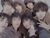 猫咪网最新入口